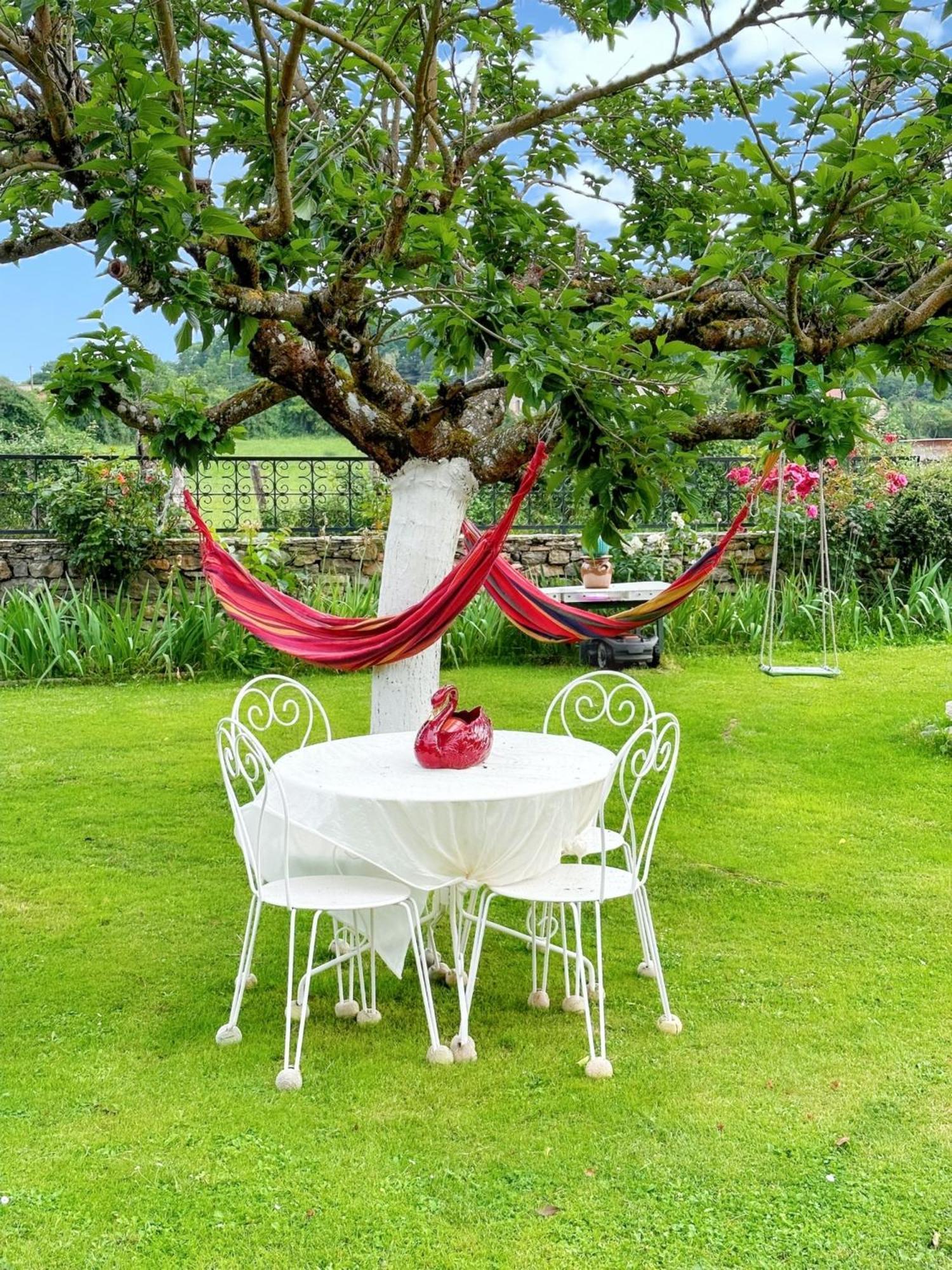 Appartement Charmant A Toulonjac Avec Jardin Et Terrasse 110 M² Bagian luar foto