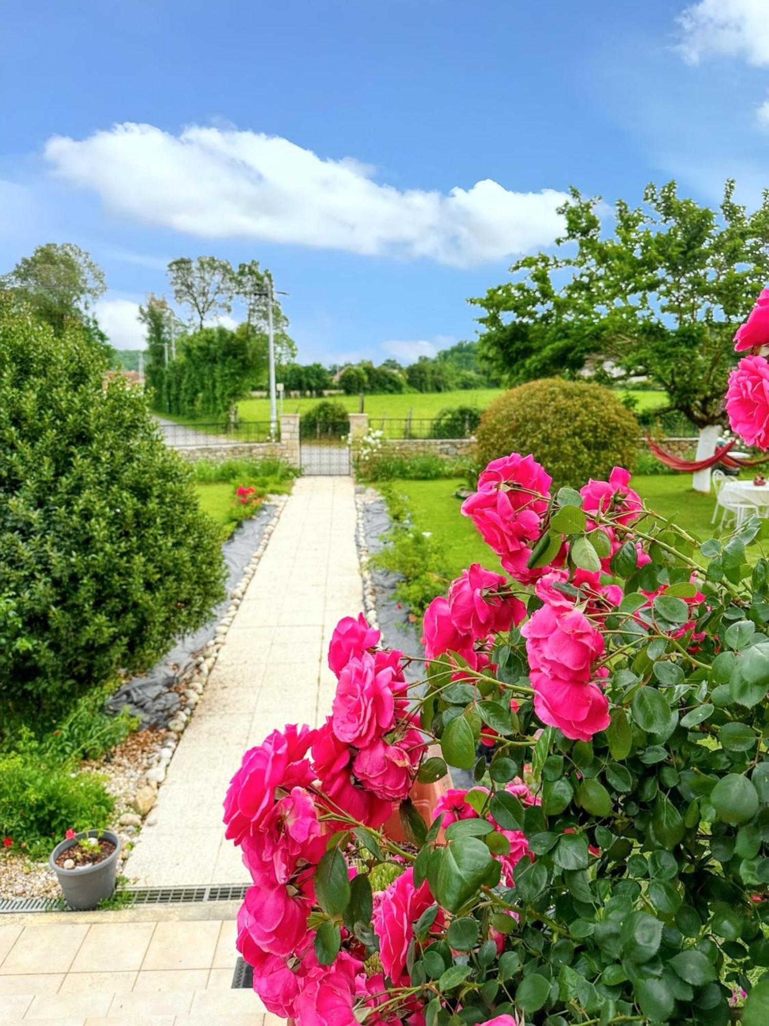 Appartement Charmant A Toulonjac Avec Jardin Et Terrasse 110 M² Bagian luar foto